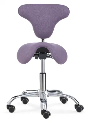 Superior Quality Gas Lift Salon Stool with Back Rest