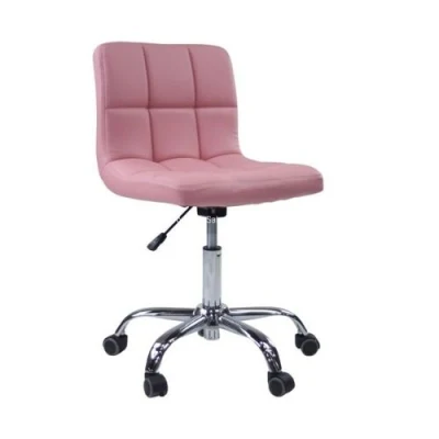 Factory Manufacture Classic Salon Stool with Backrest Swivel Salon Stool Chairs
